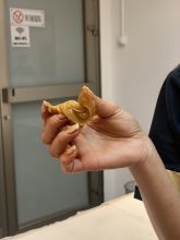 Kurs depilacije šećernom pastom